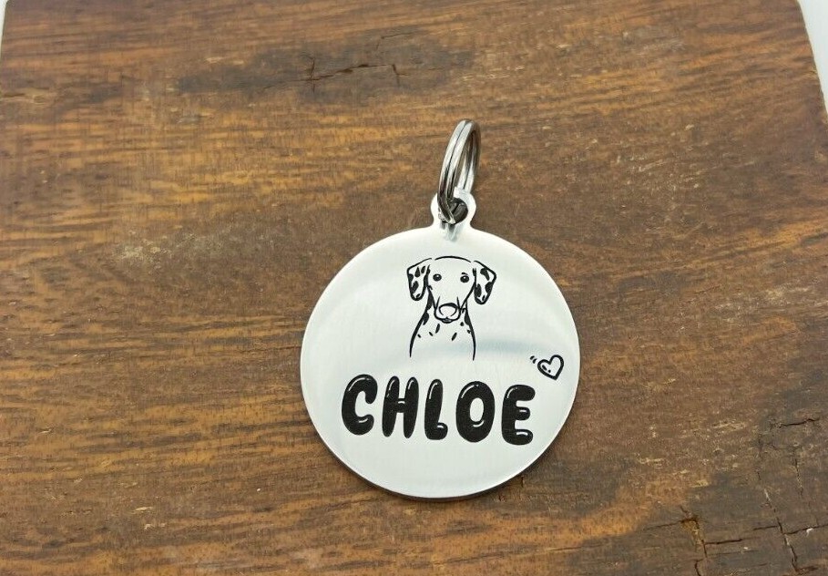 Dog Tags,Stainless Steel Charm,Personalized Engraved Pet ID Tags,Round Shape