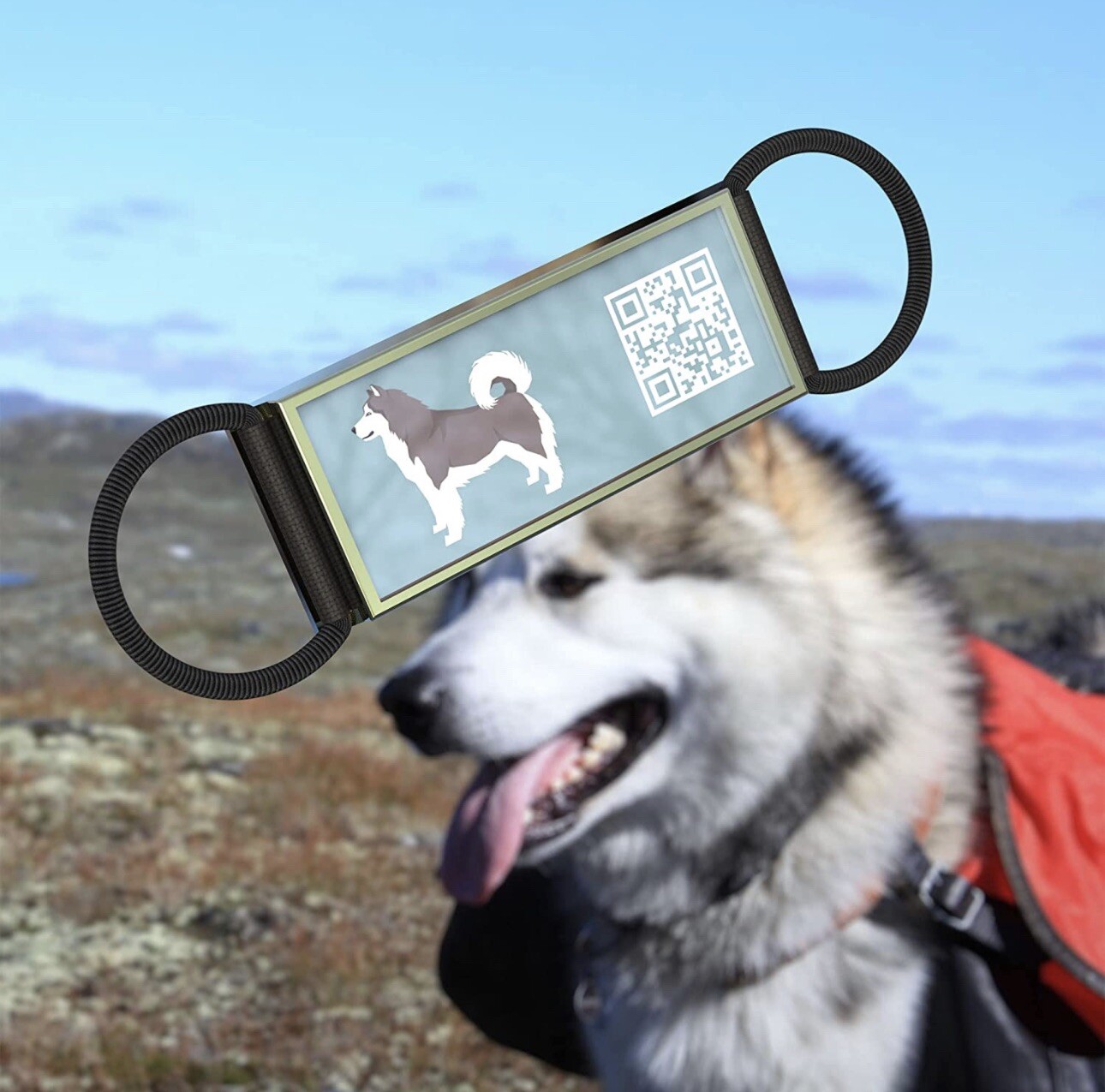 DISONTAG QR Dog Tags Personalized Dog Tags, Sliding Mute Dog ID Tag Custom Dog T