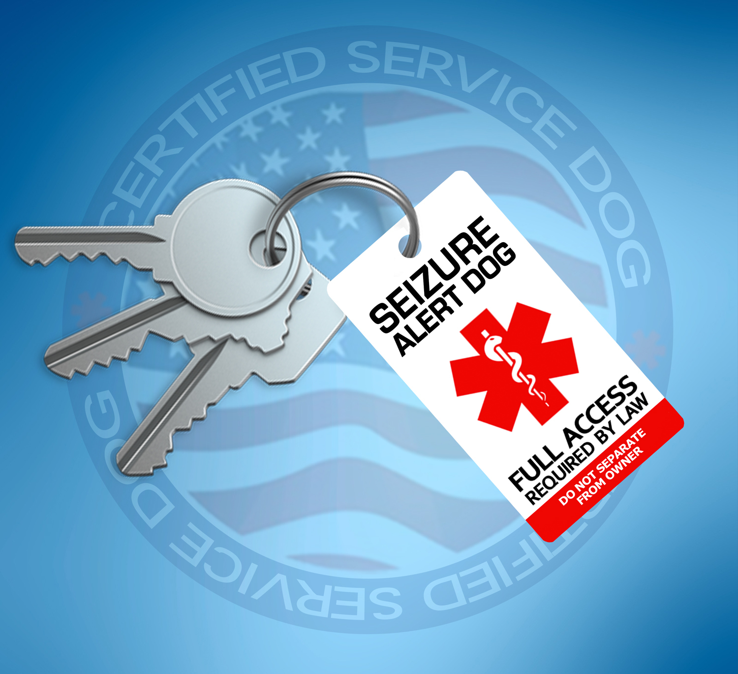 SEIZURE ALERT DOG ID TAG KEY CHAIN / COLLAR TAG FOR SERVICE ANIMAL MEDICAL TAG