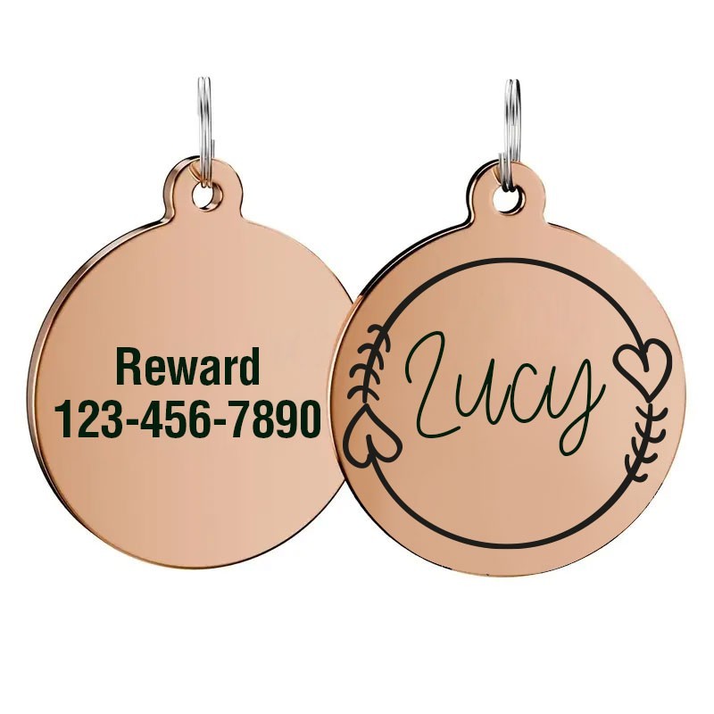 Personalized Stainless Steel Dog Tag Pet Tag Placa ID Identificacion Perro
