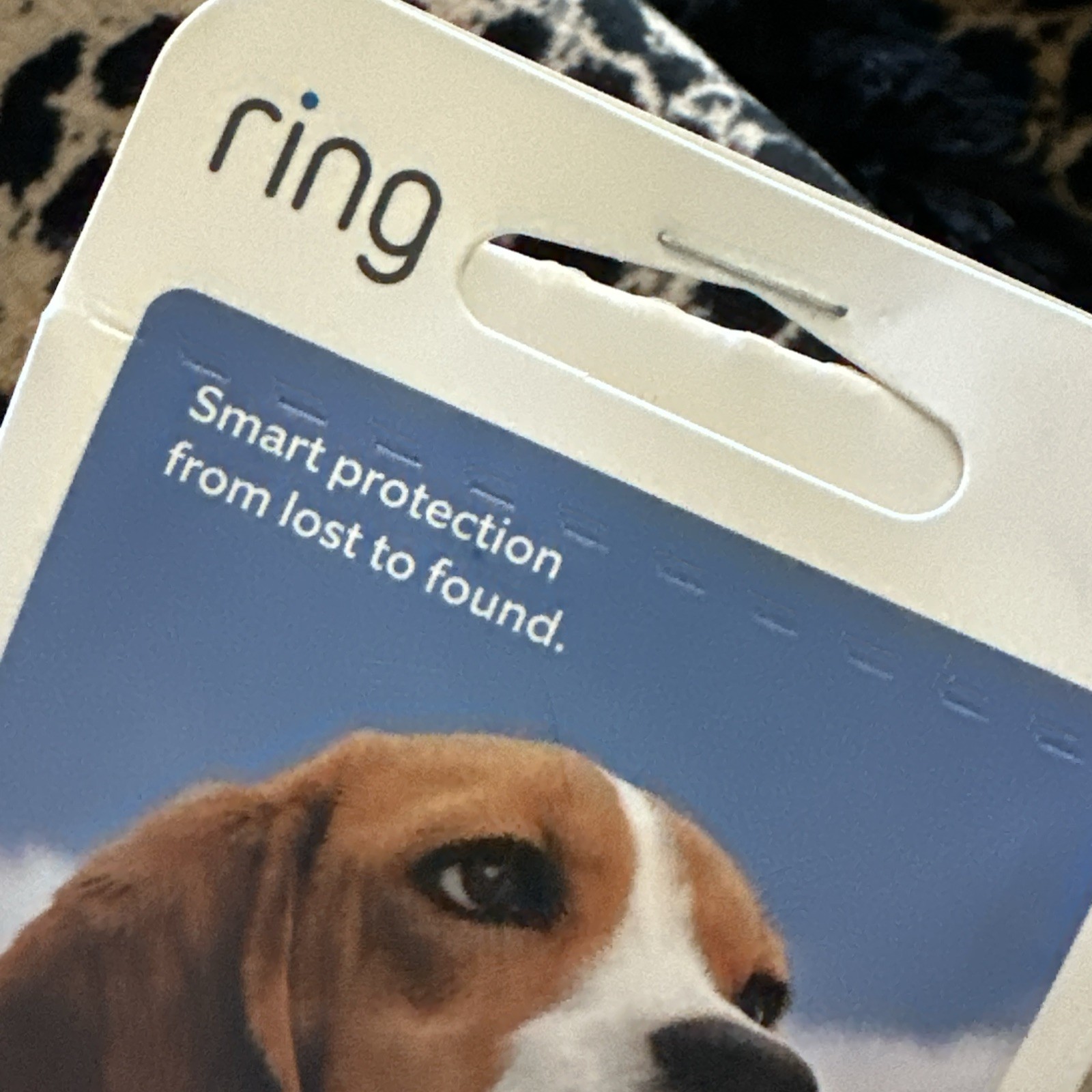 Ring Pet Tag | Easy-To-Use Tag with QR Code | Real-Time Scan Alerts | Shareable