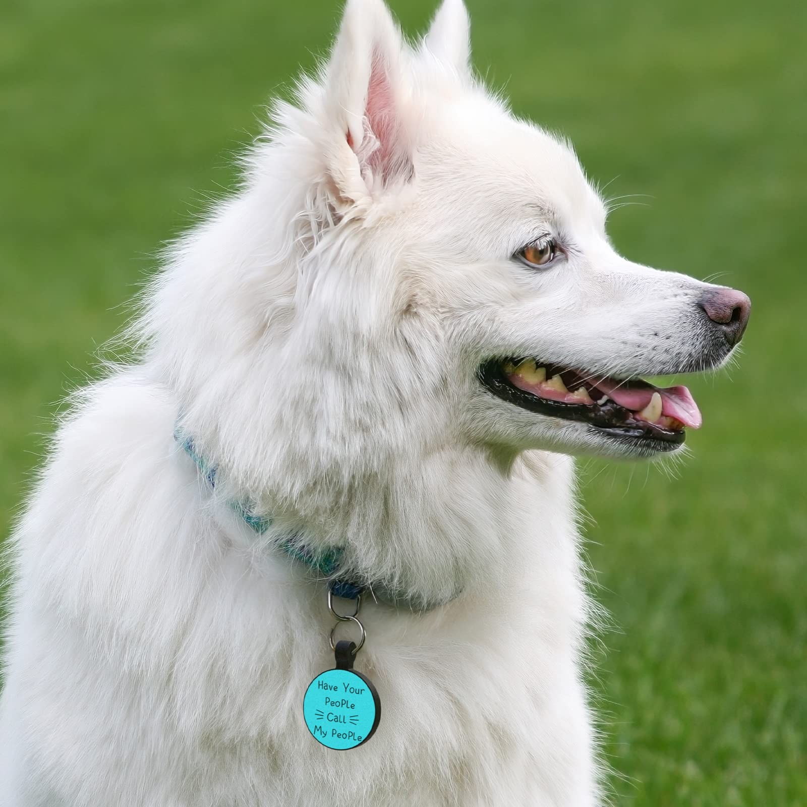 QR Code Dog Cat Silicone Digital ID Tag Online Pet Profile Location Alert