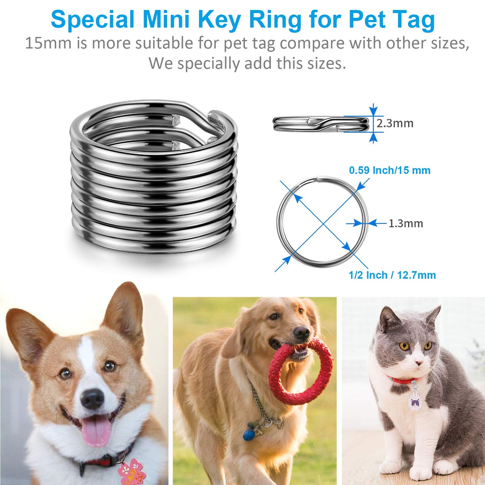 Key Rings Stainless Steel Assortment Heavy Duty Split Key Ring Loops in Small