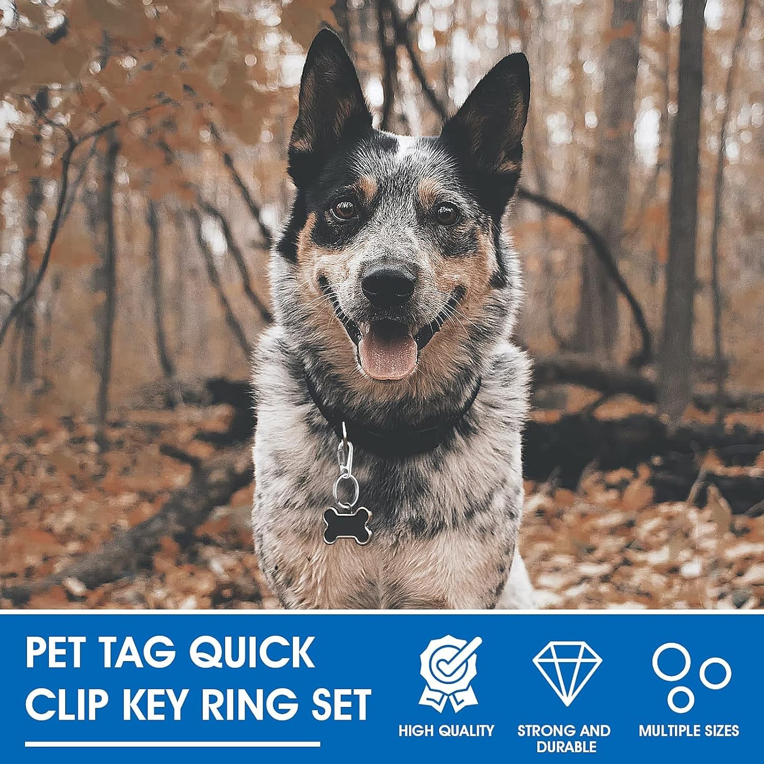 Dog Tag Clips with Rings, 24PCS Heavy Duty Stainless Steel Pet ID Tag Clip Set E