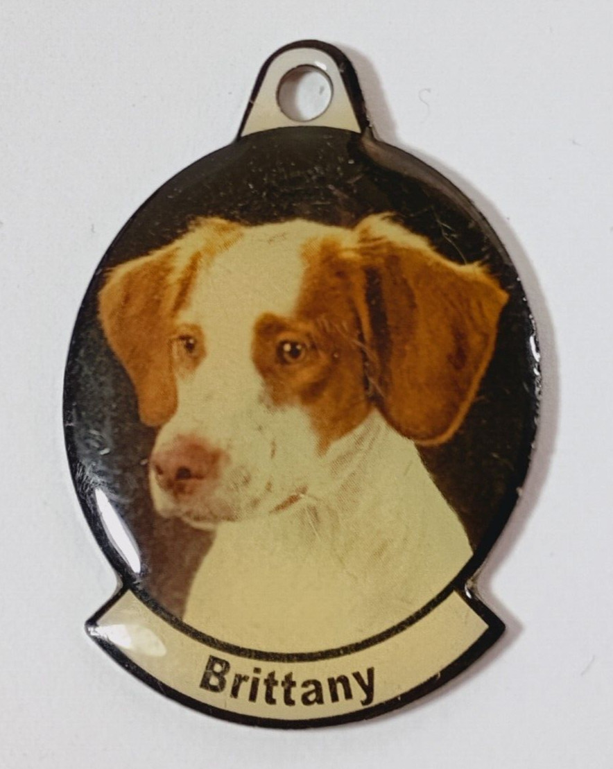 Metal Dog Breed Photo Tag. “Brittany” For Dog Collar or Key Chain.
