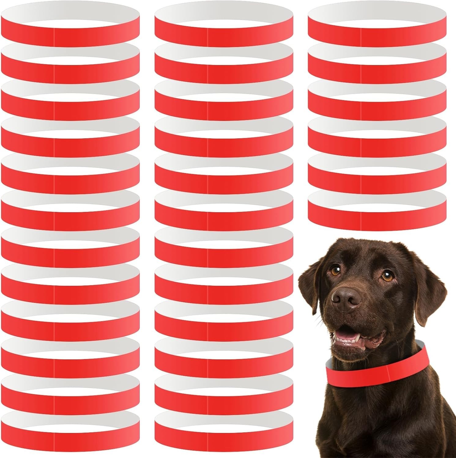 500 Count 20inch Adjustable Paper Dog Collars with Tear Resistant Waterproof …