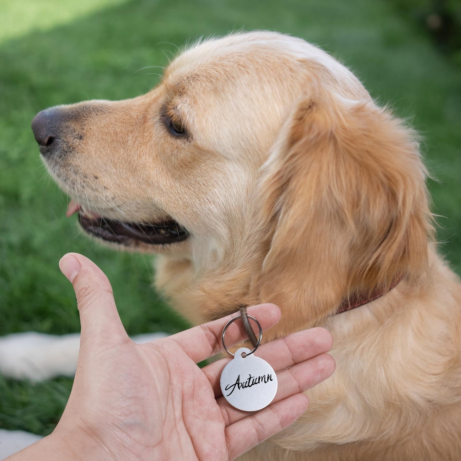 25 Blank Dog Tags for Engraving – Personalized Pet ID Tags