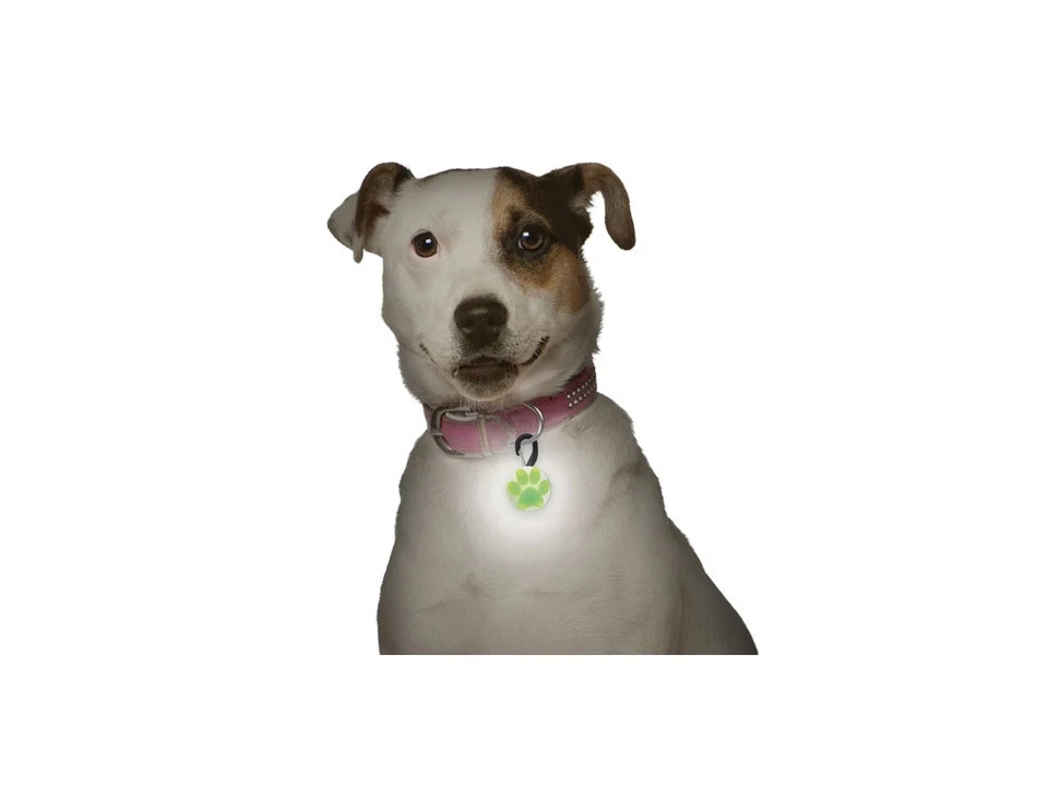 Nite Ize PetLit LED Collar Light – Pet Collar LED Light – Easy Twist On/Off -NEW