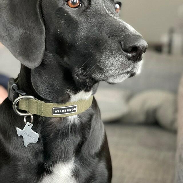 State of Texas | Dog Pet Name Custom Engraved Personalized Cute ID Tag for Dogs