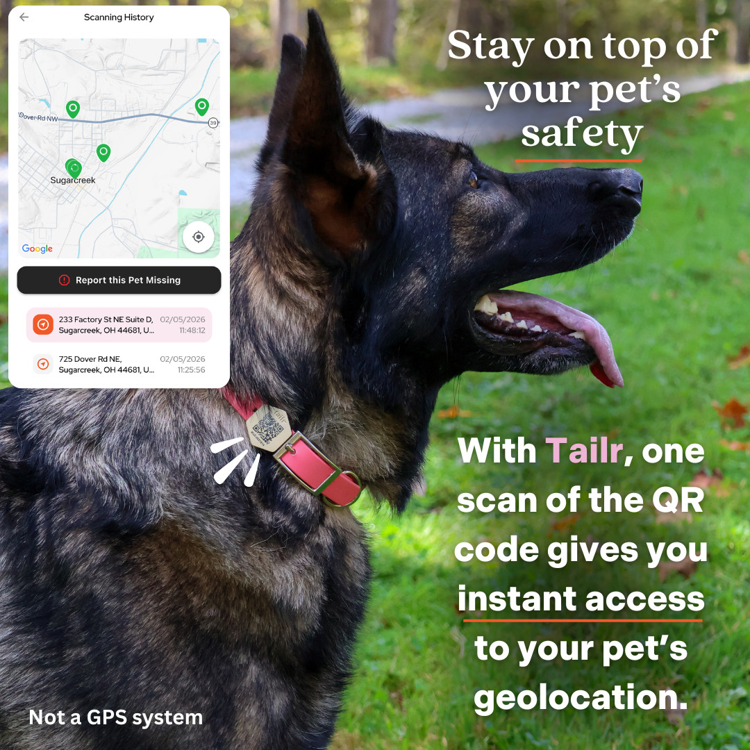 Tailr Slide On QR Code Dog Tag Silent Pet ID Tag with App No Jingle All Sizes