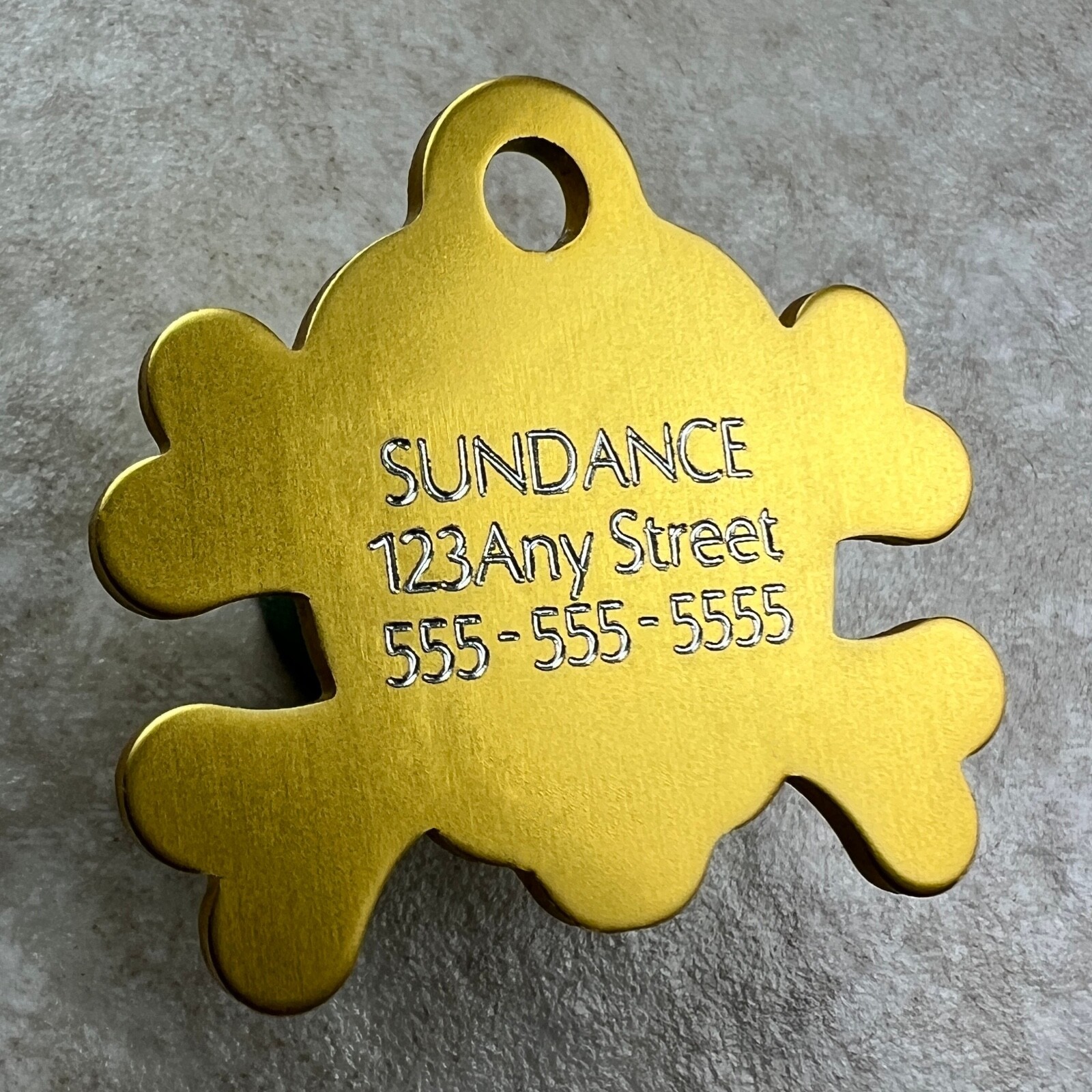 Custom Engraved Dog Tags Personalized Dog Collar Pet Tags Engraved PIRATE COLORS