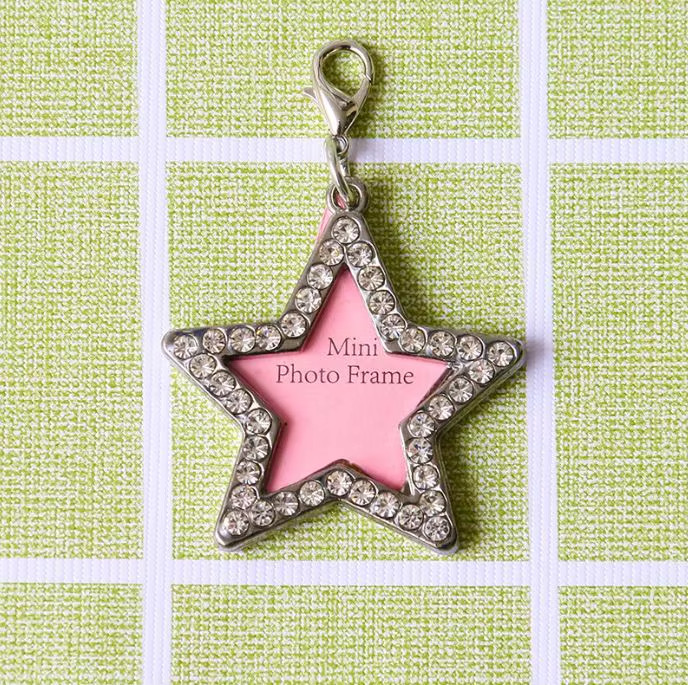 Mini Photo Frame Pet Tag – Writable ID , Keychain, Holiday Gift for Pet Lovers