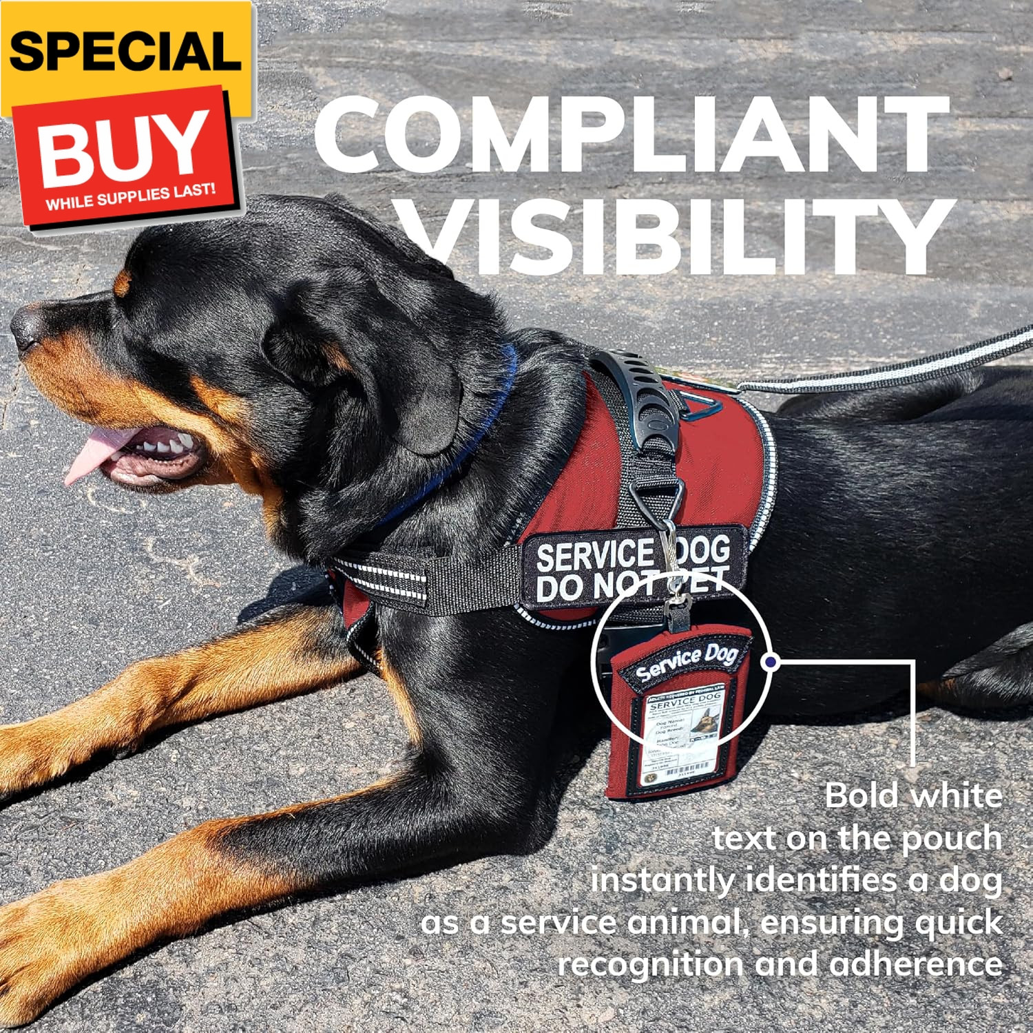 ActiveDogs Service Dog ID Card Pouch – Clip On Identification Badge Display Tag