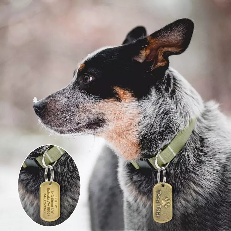 Personalized PET Tags NAME ID Dog Cat Tag Brass Tags Military Custom Engraved US