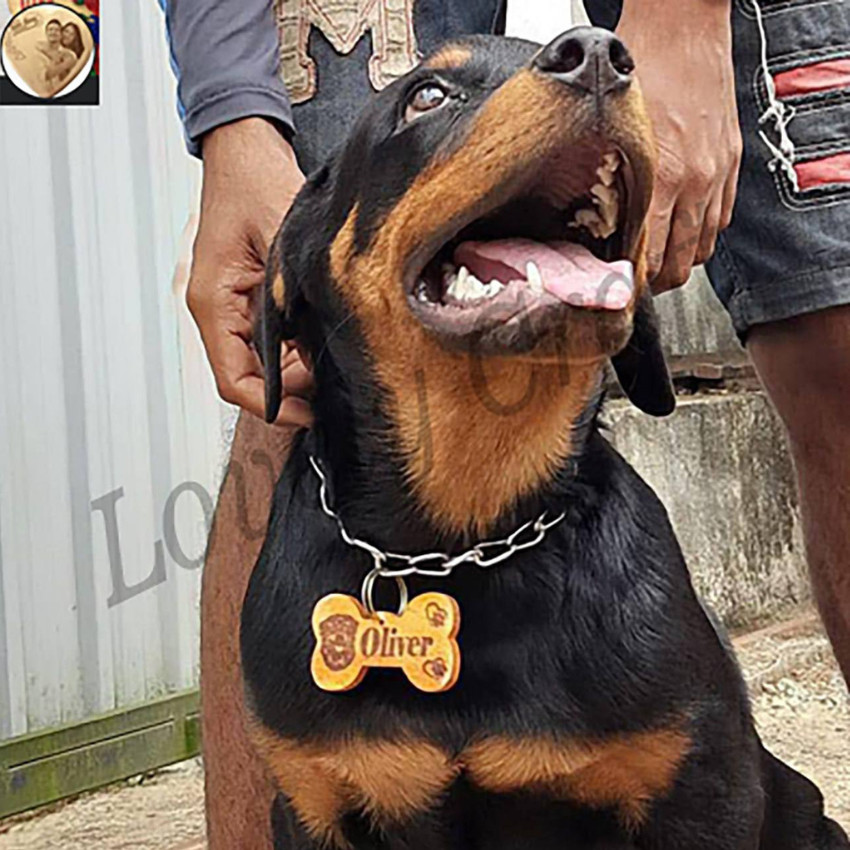Dog /Cat Name Customized Tag Engraved Print Pet ID Bone tag Wooden Personalized