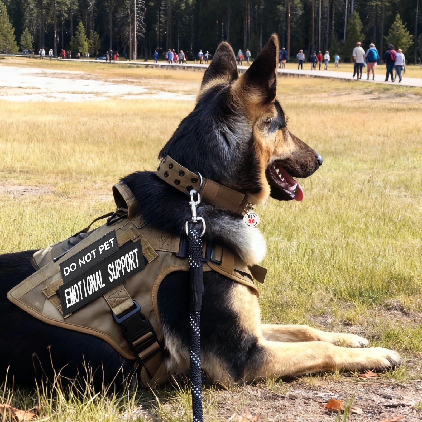 Emotional Support Animal Patches ESA Dog ID Tag Easily Attach to Collar Harne…