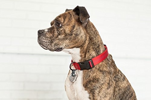 Dog Tag Silencer Connector Silences Tag Jingle One Size Collar Attachment for