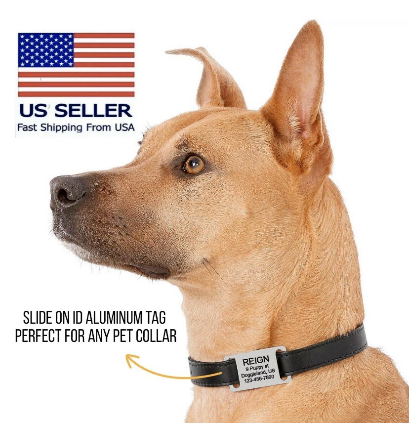 Custom ENGRAVED PET ID No jingle TAG SLIDE ON NOISELESS Dog Cat Puppy Kitty Tags