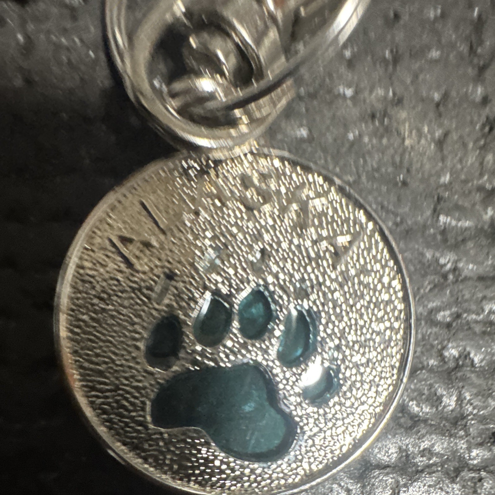 Silver Tone Round Dog Collar Charm Tag, Blue Paw Print, Enamel Metal, Clip