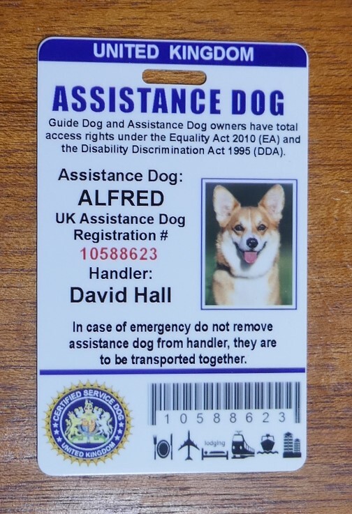 ASSISTANCE DOG UK – SERVICE CARD ID BADGE FOR UNITED KINGDOM GREAT BRITAIN ADi