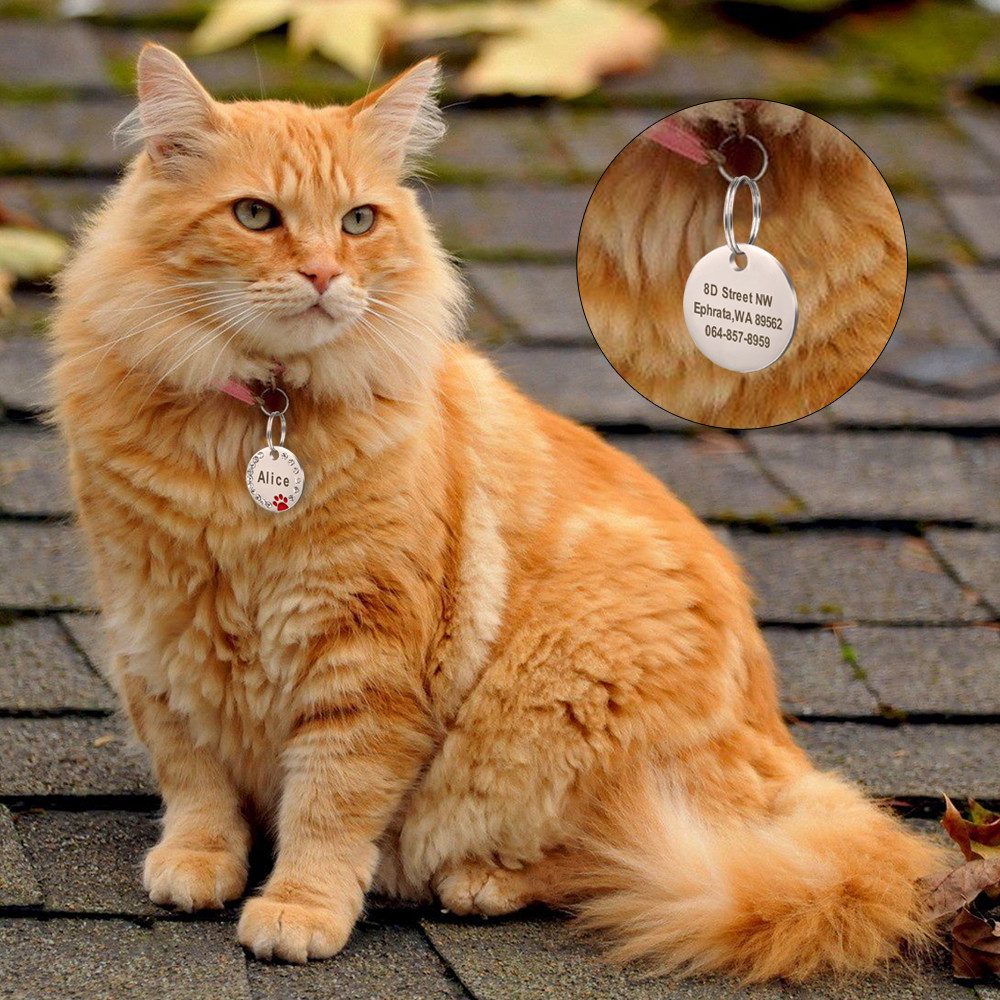 Dog Tags Personalized ID Name Engraved Pet Cat Dog Bling Rhinestone Cute Paw Tag