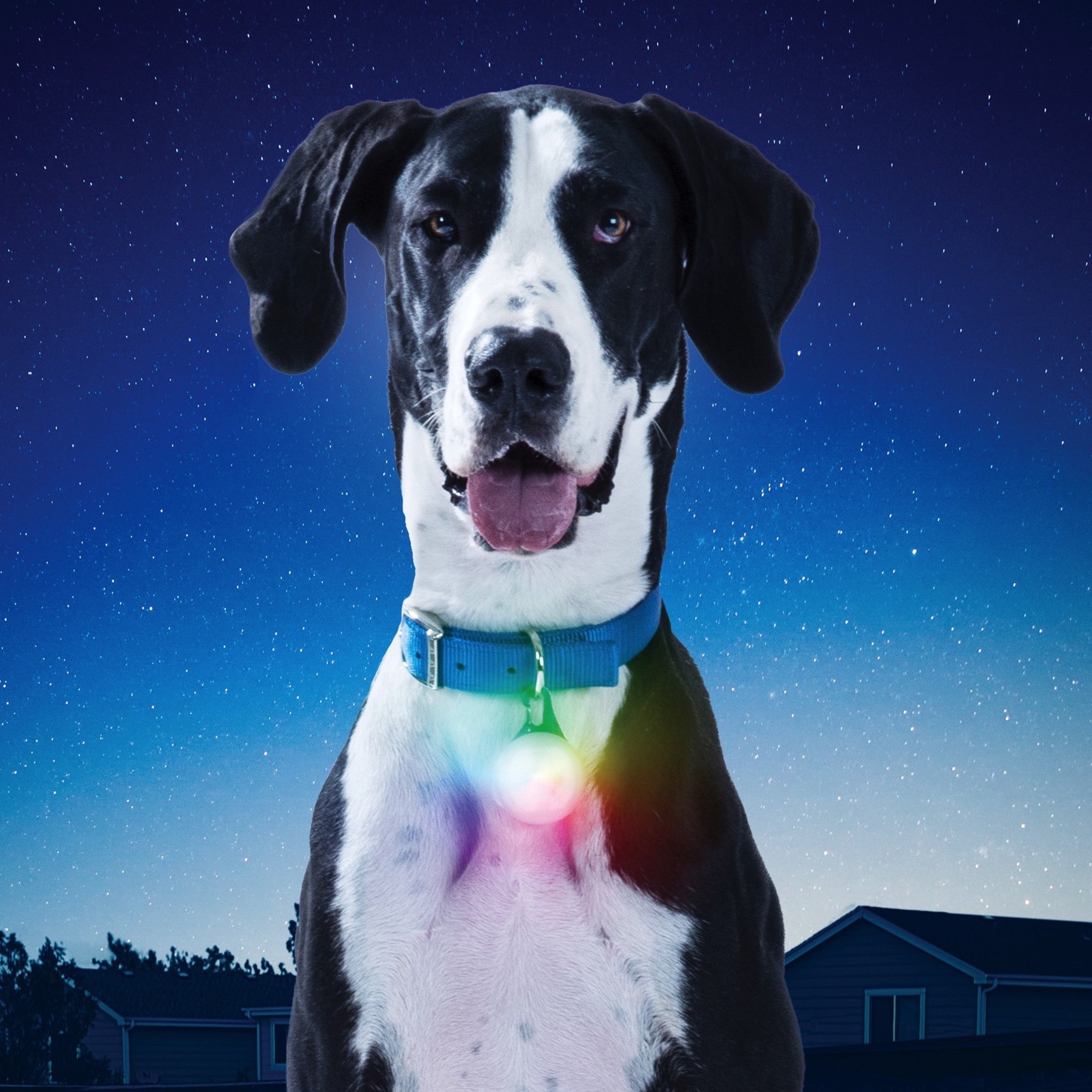 Nite Ize SpotLit XL Rechargeable Carabiner Light – Disc-O Select (3-Pack)