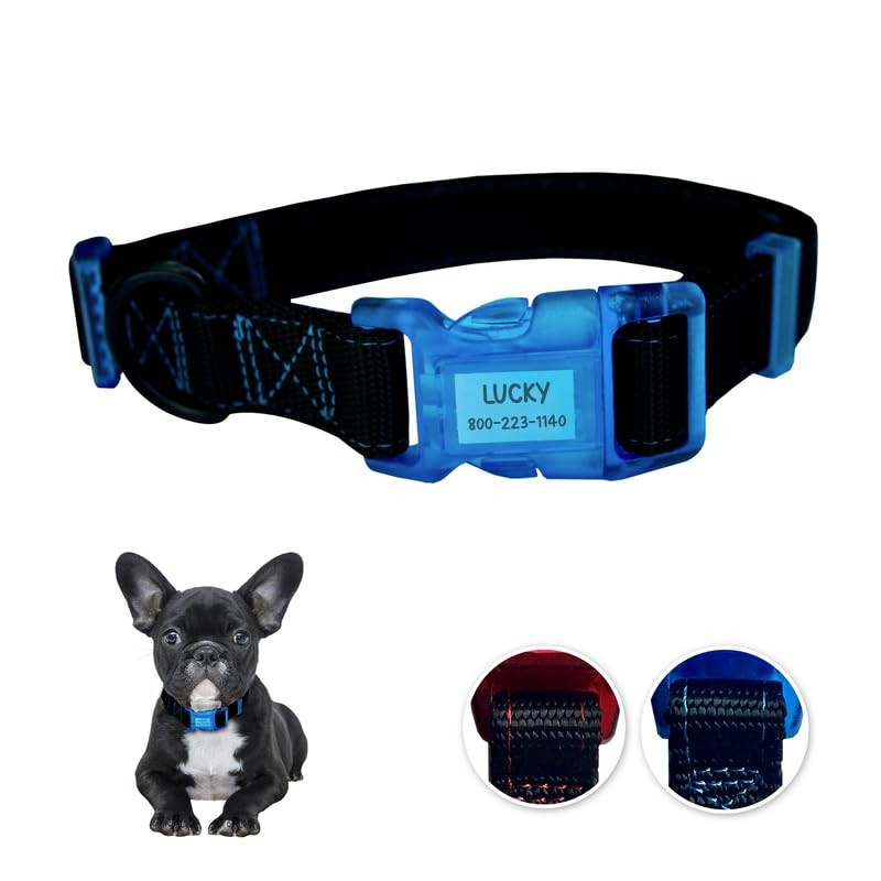 3PCS Small Dog ID Collar, Black Blue, Nylon, Waterproof Paper, Adjustable