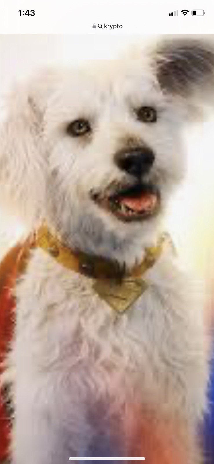 Krypto – Superman dog collar/tag/pendant 2025 Gunn