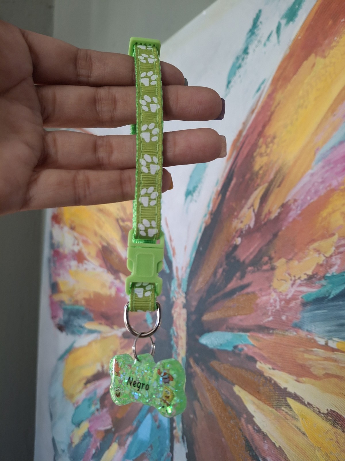Collar personalizado para mascotas spongebob
