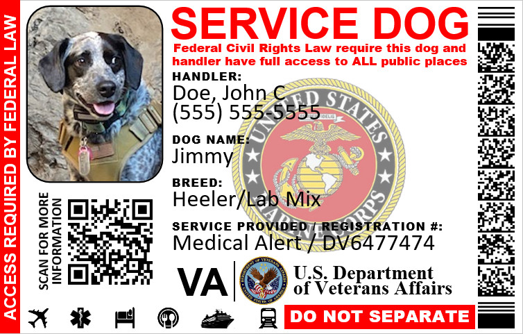 MILITARY VETERAN SERVICE DOG ID DUAL SIDES PHYSICAL & DIGITAL