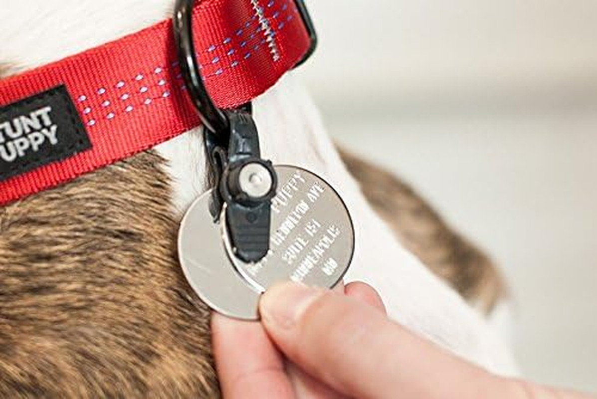Dog Tag Silencer and Connector Waterproof Graphite Holds up to 4 Tags