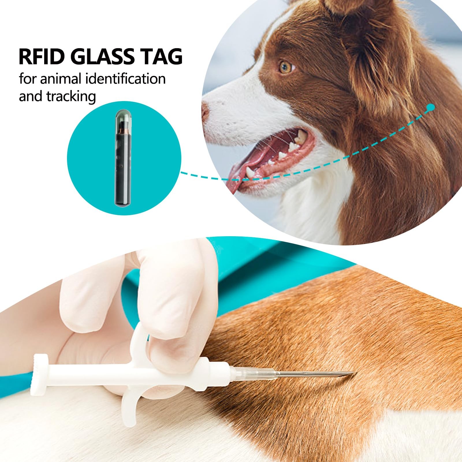 20 Pack Mini Microchip Implant Kit, 1.25 x 7 mm, RFID Pet Transponder Tags