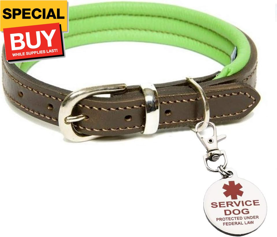 Service Dog Tag | Double Sided Federal Protection with Medical Alert Symbol |Inc