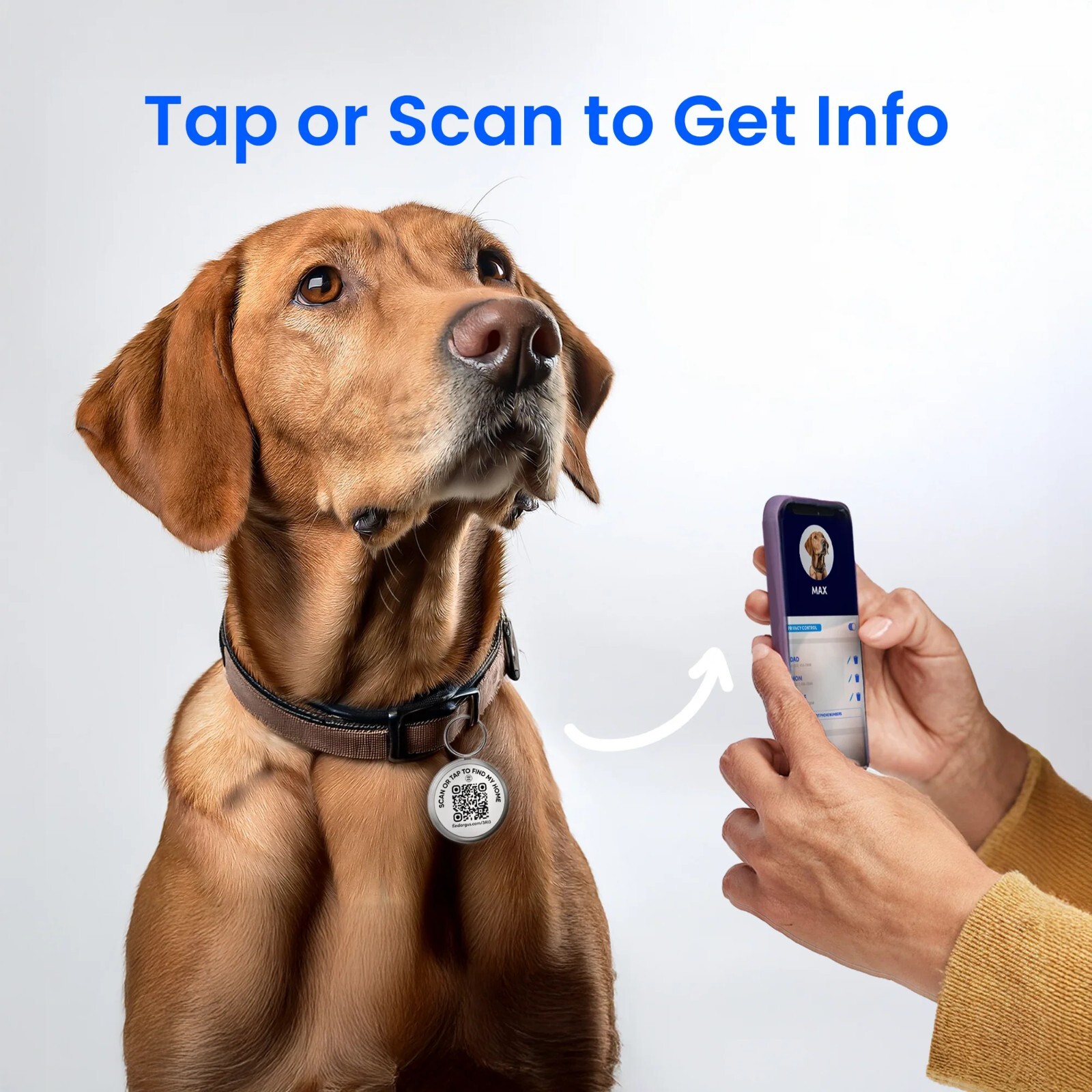 Argus Dog/Cat/Pet ID Tag with QR Code, NFC Chip & URL Black Metal Edge Tech Tag