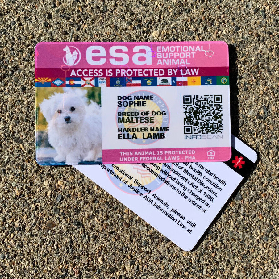 EMOTIONAL SUPPORT ANIMAL (ESA) ID BADGE SERVICE DOG ID CARD – PINK HOLOGRAPHIC