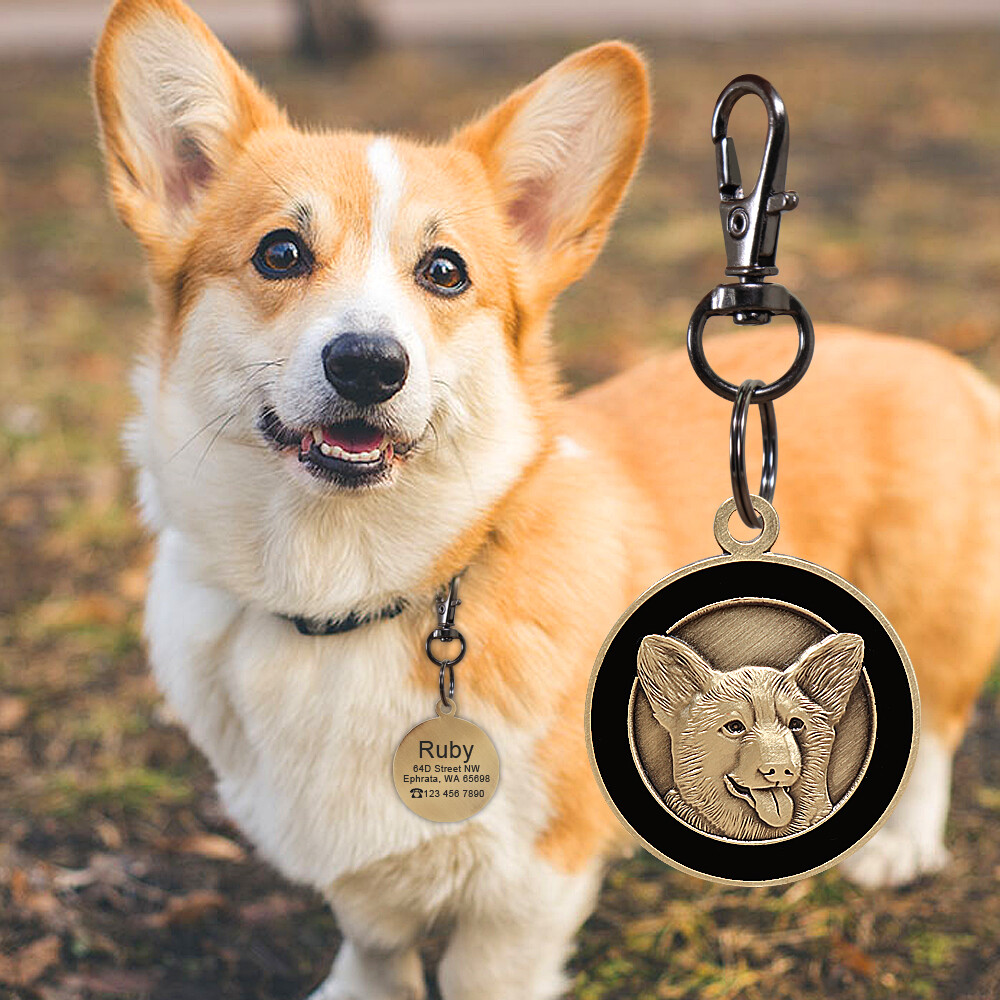 Customized 3D Brass Dog Tags Personalized Pet Puppy ID Name Number Engraved Free