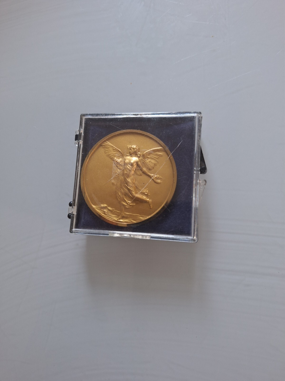 Animal Collection Gold Medal International Canine Exhibition San Remo CACIB