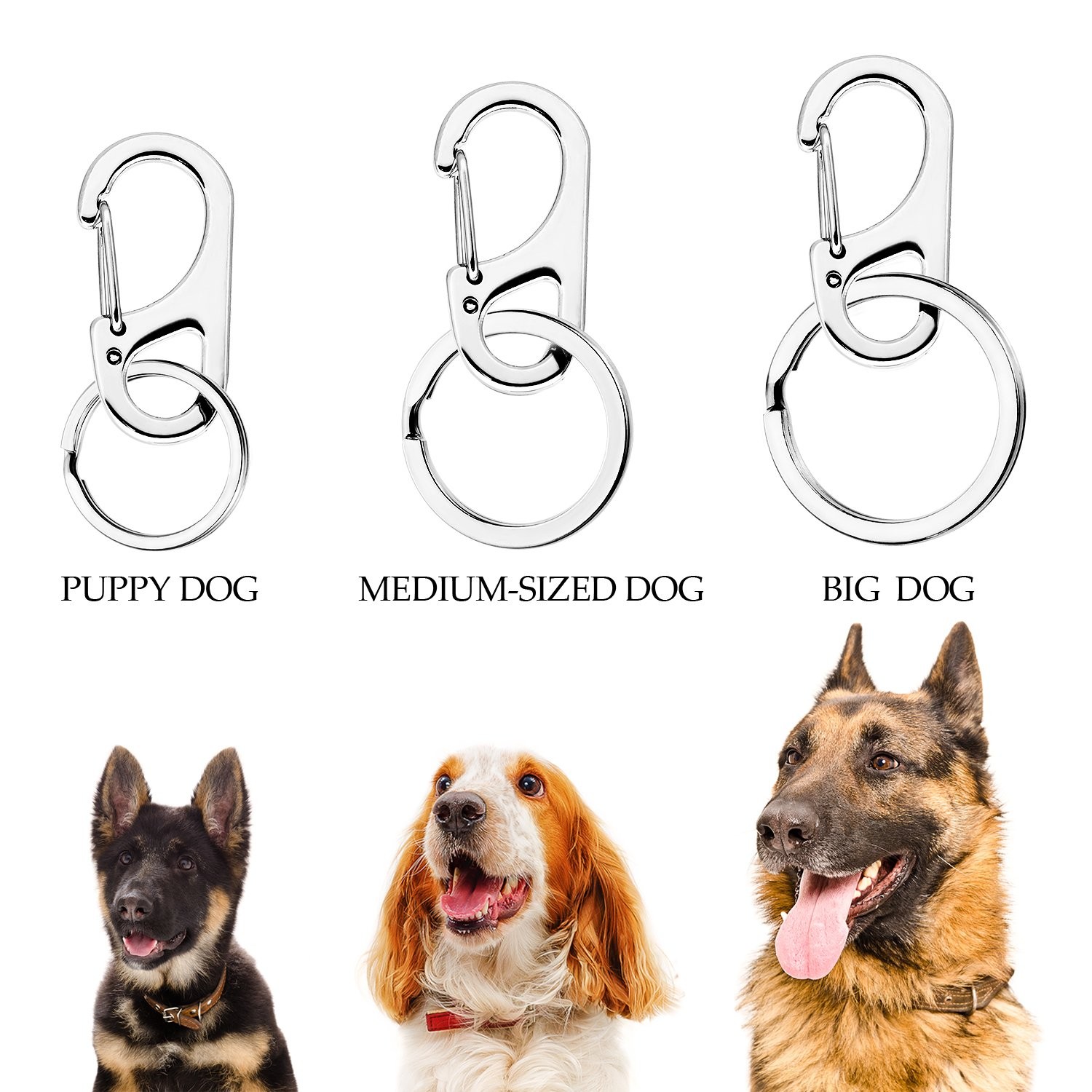 JOVITEC 3 Sets Dog Tag Clip ID Tag with Rings Holder for Dogs and Cats Collar…
