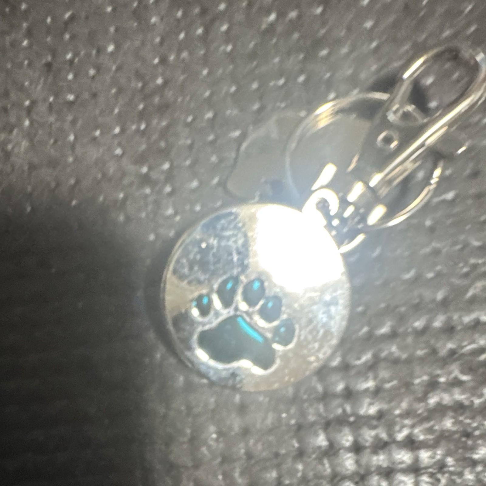 Silver Tone Round Dog Collar Charm Tag, Blue Paw Print, Enamel Metal, Clip