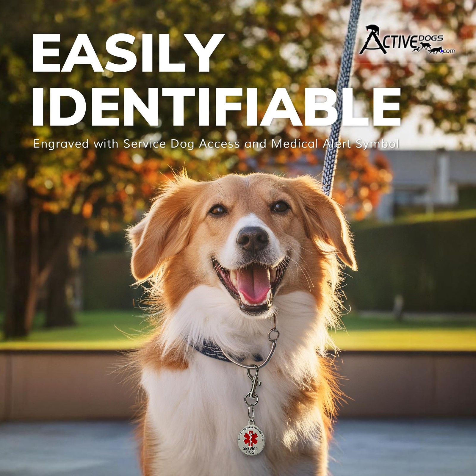 ActiveDogs Service Dog ID – Medical Alert Tag for Collar, Vest or Harness – D…