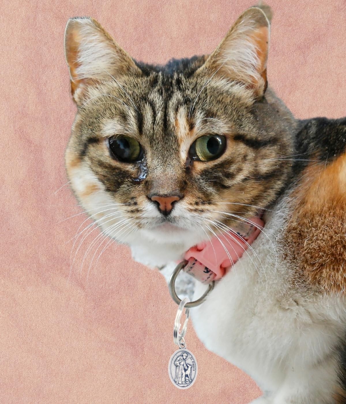 St Francis of Assisi Pendant for Pet Collar – St Francis Animal Tag with Spli…