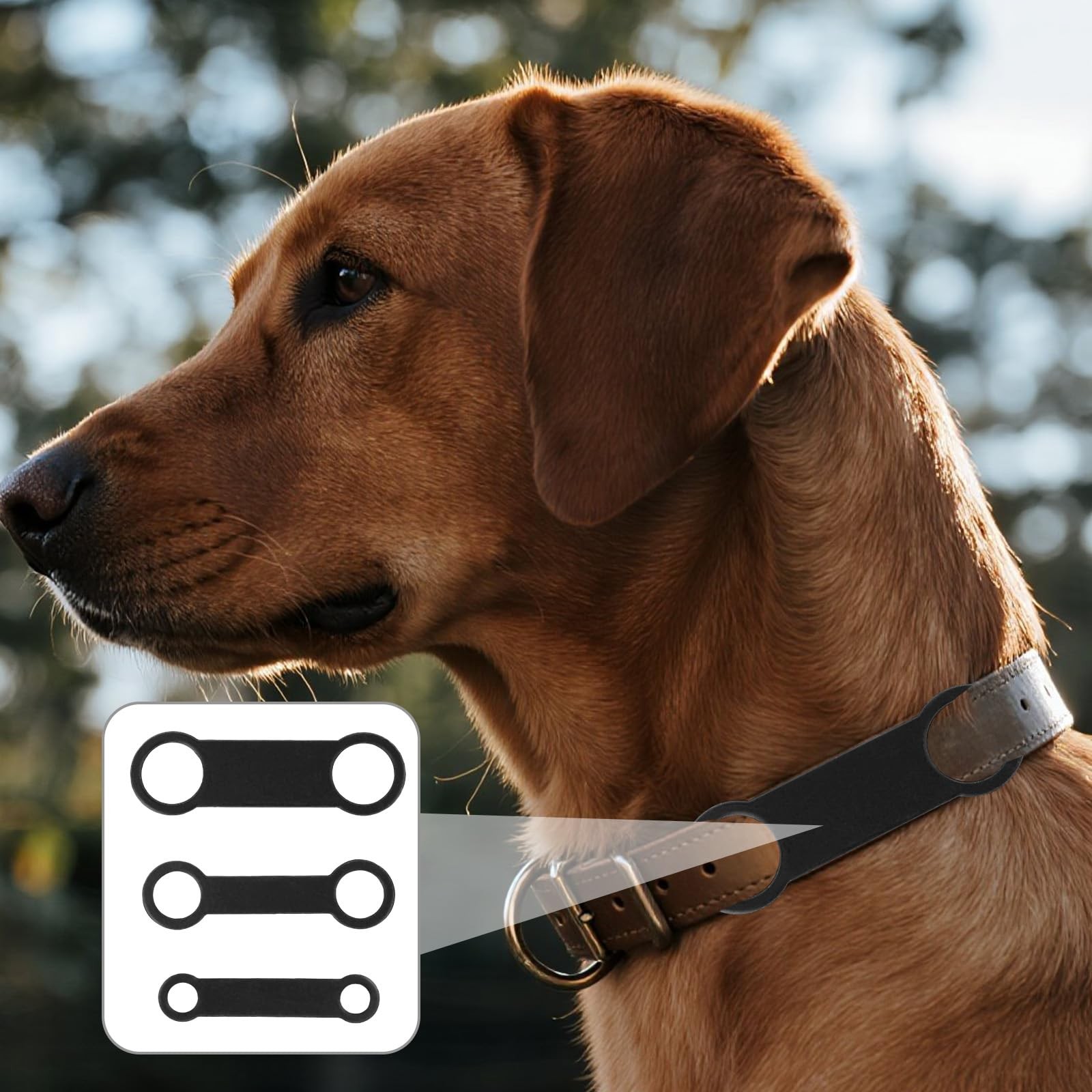 6pcs Silicone Dog Tags, 3 Sizes Slide on Dog Tags Personalized Puppy Name Pet…