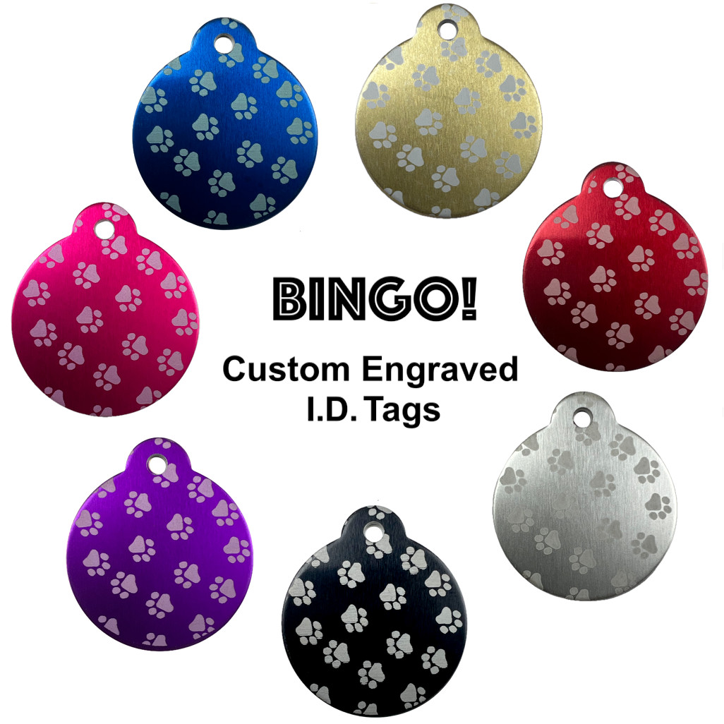 Custom Engraved Dog Tags Personalized Dog Collar Pet Tags Engraved Pet ID PAWS