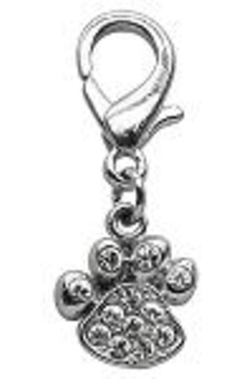 Mirage Pet Products Lobster Claw Paw Charm
