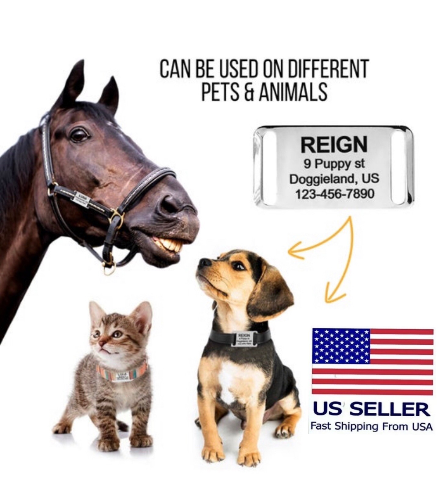 Stainless Steel Slide-On Collar Pet Dog Identification Name Tags Custom ID