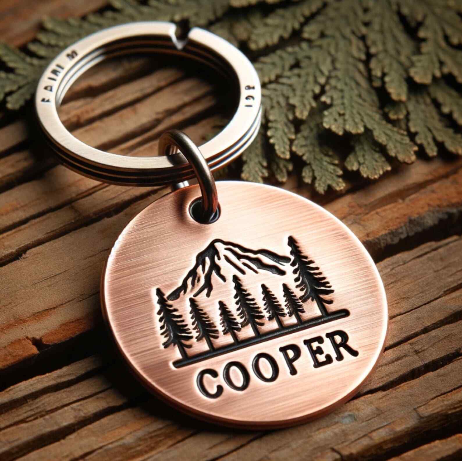 Personalized Mount Rainier Pet ID Tag – Custom Engraved for Dogs and Cats