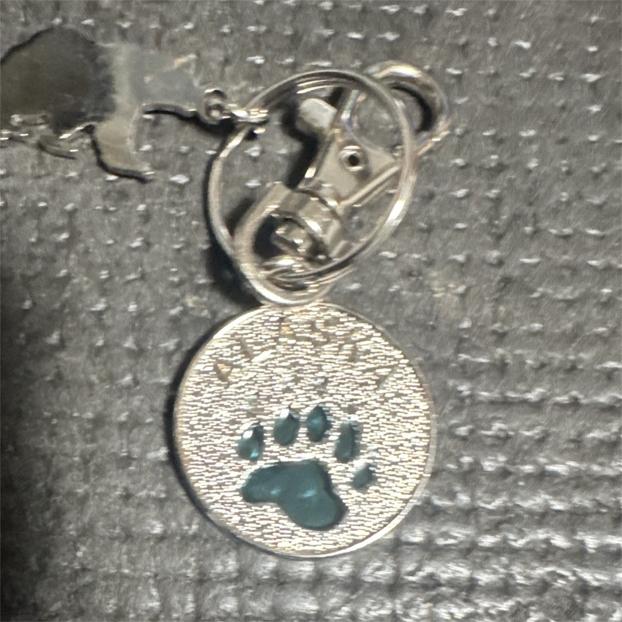 Silver Tone Round Dog Collar Charm Tag, Blue Paw Print, Enamel Metal, Clip