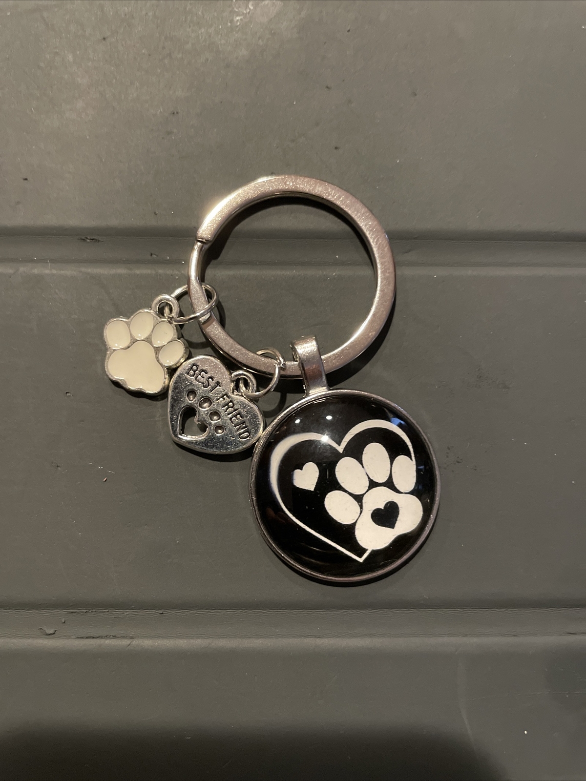 Personalized Pet Photo Keychain / Polaroid, Name / Glossy Photo