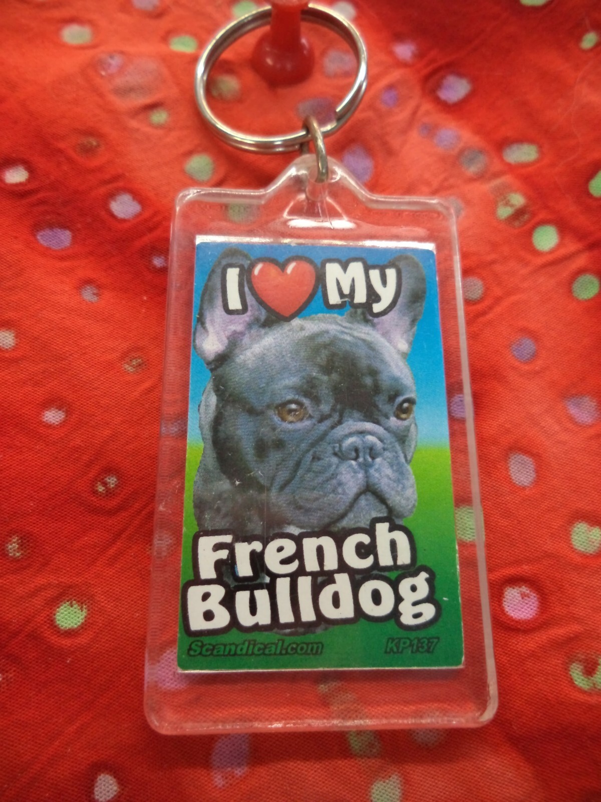 SCANDIAL PET KEY CHAINS – DOUBLE SIDED – I LOVE MY __DOG__ YOU PICK BREED! #4