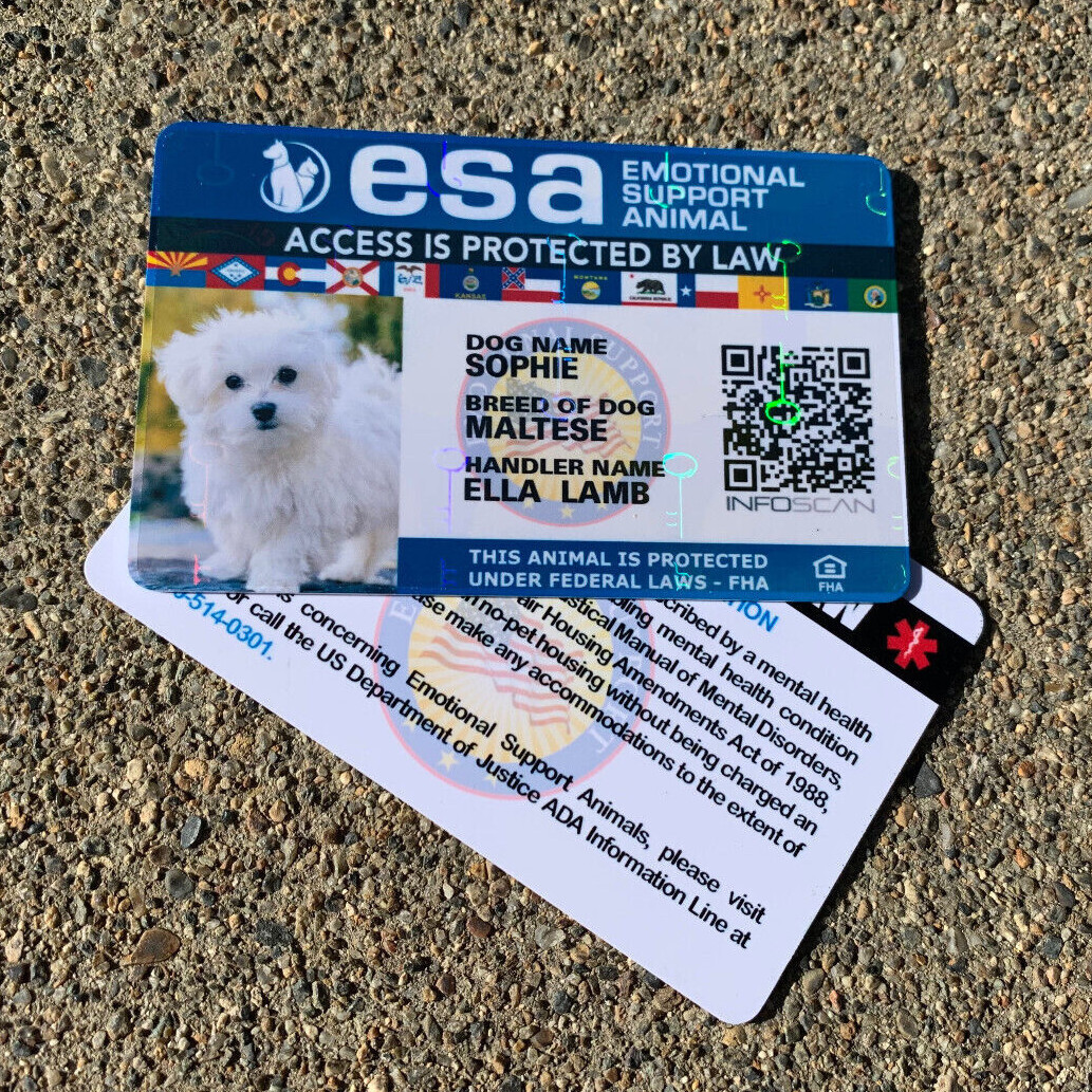 ESA ID CARD EMOTIONAL SUPPORT REGISTRATION EMOTIONAL SUPPORT ANIMAL HOLOGRAPHIC